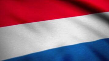 Países Baixos holandês bandeira realista animação. a animação do a bandeira do Países Baixos video