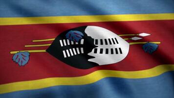 Swaziland grunge vlag golvend naadloos lus. Swazi loopbaar vuil vlag met zeer gedetailleerd kleding stof textuur. vlag van Swaziland met kleding stof textuur, naadloos lus video