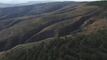 Wavy hills panorama, aerial view at sunset time. Shot. Wavy forest mountain landscape, aerial view. Tender sky colours, bright sunlight. Peaks of Caucasus mountains, video