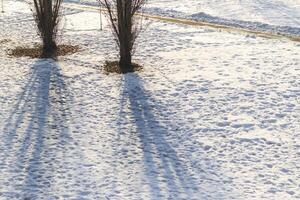 Landscape shot of the snow with footprints. Concept photo