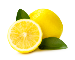 Front view and close up of fresh yellow lemon fruit with half and leaves isolated with clipping path and shadow in png file format