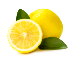 Front view and close up of fresh yellow lemon fruit with half and leaves isolated with clipping path and shadow in png file format