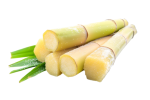 AI generated Sugar cane with clipping path PNG