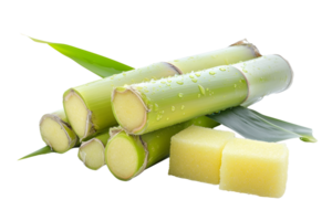 AI generated Sugar cane isolated with clipping path and full depth of field PNG