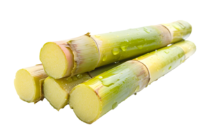 AI generated Sugar cane PNG