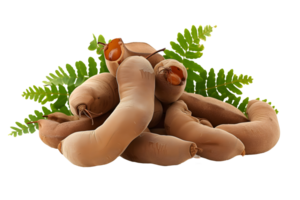 AI generated Tamarind with leaves isolated PNG