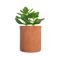 3d le rendu de une plante dans une pot png