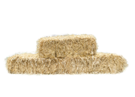 Golden yellow haystack on transparent background png