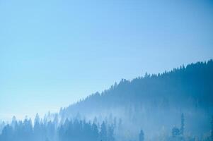 un cerca arriba ver en el alpino cadenas envuelto en el Mañana niebla, visto desde el parte superior de mittagskogel en Austria. claro y soleado día. agudo picos alrededor. Dom es brillante encima el alto picos serenidad foto