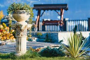 Coniferous rockery in landscaping. Different types of pine and spruce with different color needles photo