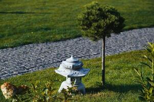 Coniferous rockery in landscaping. Different types of pine and spruce with different color needles photo