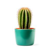AI generated cactus in a vase isolated on white background photo