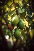 ai generado un rama de aguacate en árbol en el luz de sol. ai generativo Arte foto