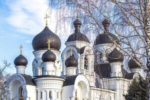Shot of the domes of the orthodox church. Religion photo