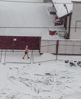 minsk, bielorrusia - 15.01.2024 - Disparo de el hombre caminando al aire libre solamente en Zapatos y pantalones cortos durante invierno tiempo. aptitud foto