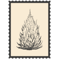 Postage stamps with flowers. png