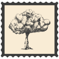 Postage stamps with flowers. png