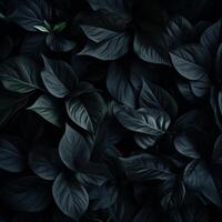 AI generated Dark leaves background, showcasing nature's freshness and growth, generative AI photo