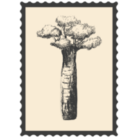 Postage stamps with flowers. png