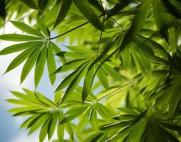 ai generado verde hojas antecedentes con plantas, árboles, y naturaleza elementos, exhibiendo de la naturaleza frescura y crecimiento, generativo ai foto