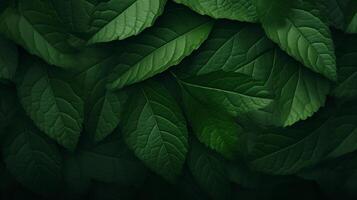 AI generated Green leaves background, showcasing nature's freshness and growth, generative AI photo