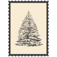 Postage stamps with flowers. png