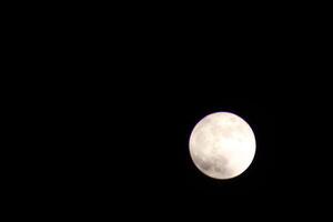 lleno Luna brillante brillante en el cielo durante el noche. foto