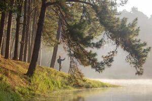 viajero es trekking mediante el brumoso montaña con pino bosque por lago ver durante verano en el lozano tierras altas para naturaleza amoroso y fauna silvestre exploración concepto foto