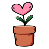 Cactus plants in pots with heart, Valentine day decoration clipart, PNG