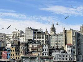 17 of April 2023 - Istanbul, Turkey - View of the European part of Istanbul, the Galata tower surrounded by flying seagulls photo