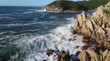 zumbido lento movimiento de enorme olas estrellarse en el costa soleado verano Mañana rocoso apuntalar con rocas cubierto con verde bosque video