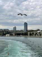 Gaviota volador terminado el bósforo con Estanbul en el fondo, Turquía foto