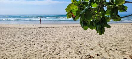 imagen de playa con blanco arena y calma mar en soleado día con bañistas y surfistas en el playa foto