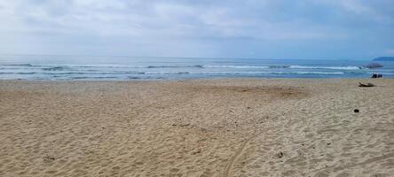 image of beach with white sand and calm sea on sunny day with bathers and surfers on the beach photo