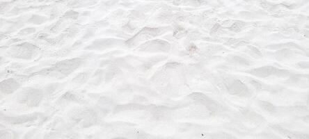 imagen de blanco arena playa en el costa de Brasil en un soleado foto