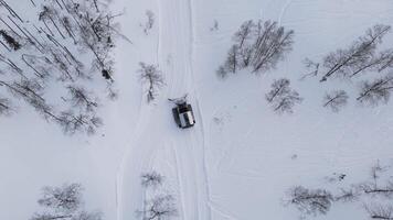 i frostig vidd snowcat förbereder åka skidor sluttningar snowcat nyckel till slät skidåkning erfarenhet. snowcat symbol av effektiv snö grooming på resorts varje snowcat passera träsnideri vägar för vinter. video