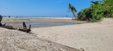 image of sea waves on the north coast of brazil in ubatuba itamambuca beach photo