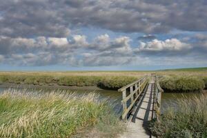 sal pantano a norte mar en norte frisia cerca a del oeste faro,eiderstedt península, alemania foto