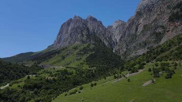 schön Berg Pisten bedeckt mit Wald. alpin Wiesen und grau Berg Spitzen auf ein sonnig Tag video