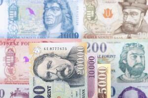 Hungarian money a business background photo