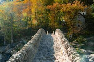 a stone bridge over a river photo