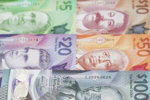 Barbadian dollar a business background photo