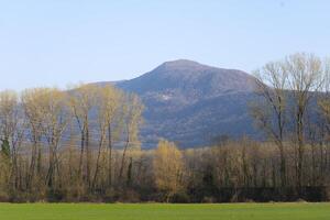 a field with a mountain in the background photo