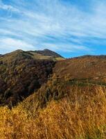 gold autumn in the mountains photo