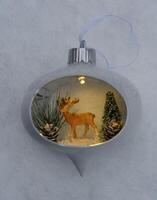 a christmas ornament with a deer inside photo