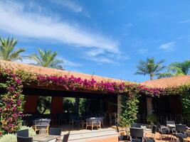 a patio with a roof photo