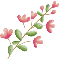 Pink flower,  floral png