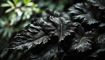 AI generated black tropical leaves on black background. photo