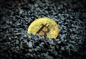 Gold bitcoin buried in the grained stone 01 photo