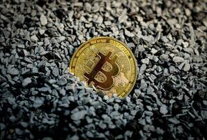 Gold bitcoin buried in the grained stone photo